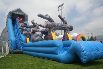 Log Mountain Water Slide