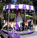 Merry-Go-Round /All Pony