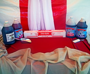Sno-Kone Servings 100 each